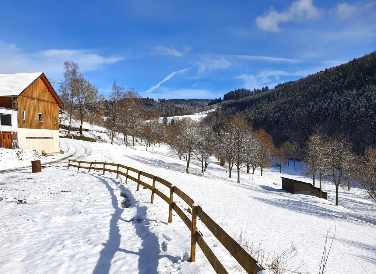 Ferienhaus Grimme - 350M2, 18 Betten - Mit Indoorspielplatz, Pool, Grosser Terrasse, Grill, Sauna, Kicker, Dart, Uvm - Ideal Fuer Familien Schmallenberg Zewnętrze zdjęcie