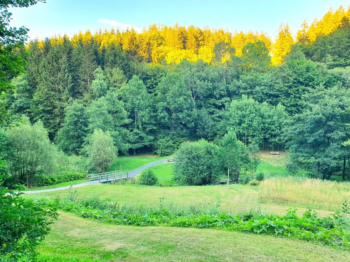 Ferienhaus Grimme - 350M2, 18 Betten - Mit Indoorspielplatz, Pool, Grosser Terrasse, Grill, Sauna, Kicker, Dart, Uvm - Ideal Fuer Familien Schmallenberg Zewnętrze zdjęcie