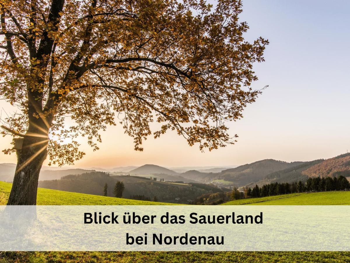 Ferienhaus Grimme - 350M2, 18 Betten - Mit Indoorspielplatz, Pool, Grosser Terrasse, Grill, Sauna, Kicker, Dart, Uvm - Ideal Fuer Familien Schmallenberg Zewnętrze zdjęcie
