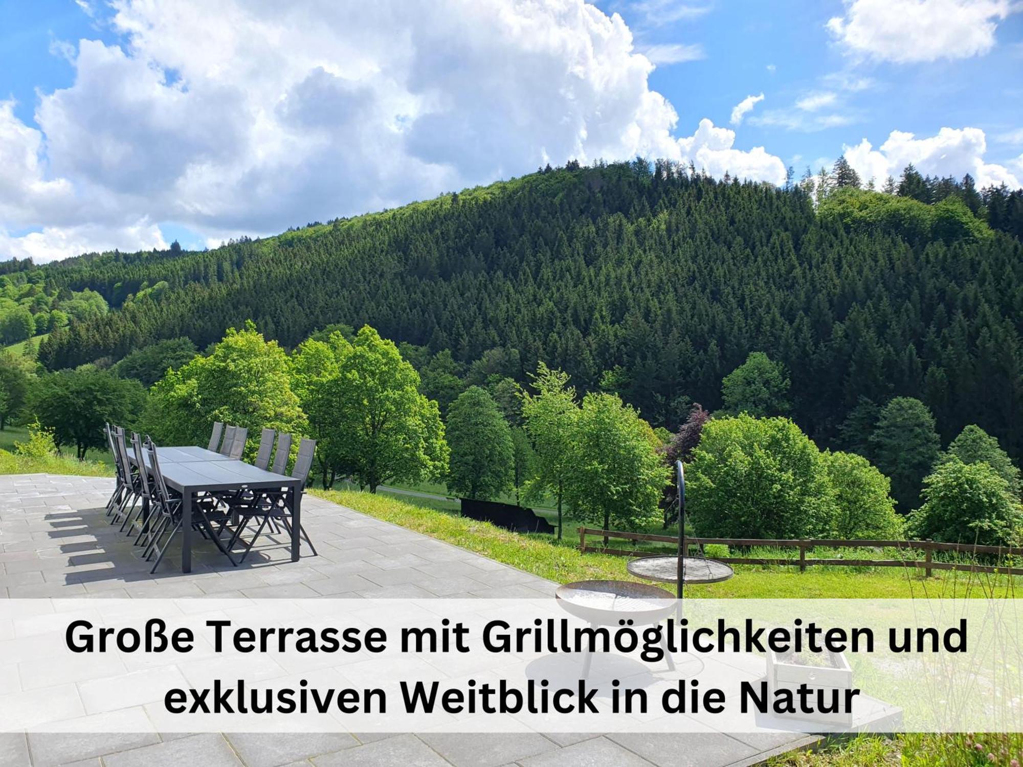 Ferienhaus Grimme - 350M2, 18 Betten - Mit Indoorspielplatz, Pool, Grosser Terrasse, Grill, Sauna, Kicker, Dart, Uvm - Ideal Fuer Familien Schmallenberg Zewnętrze zdjęcie