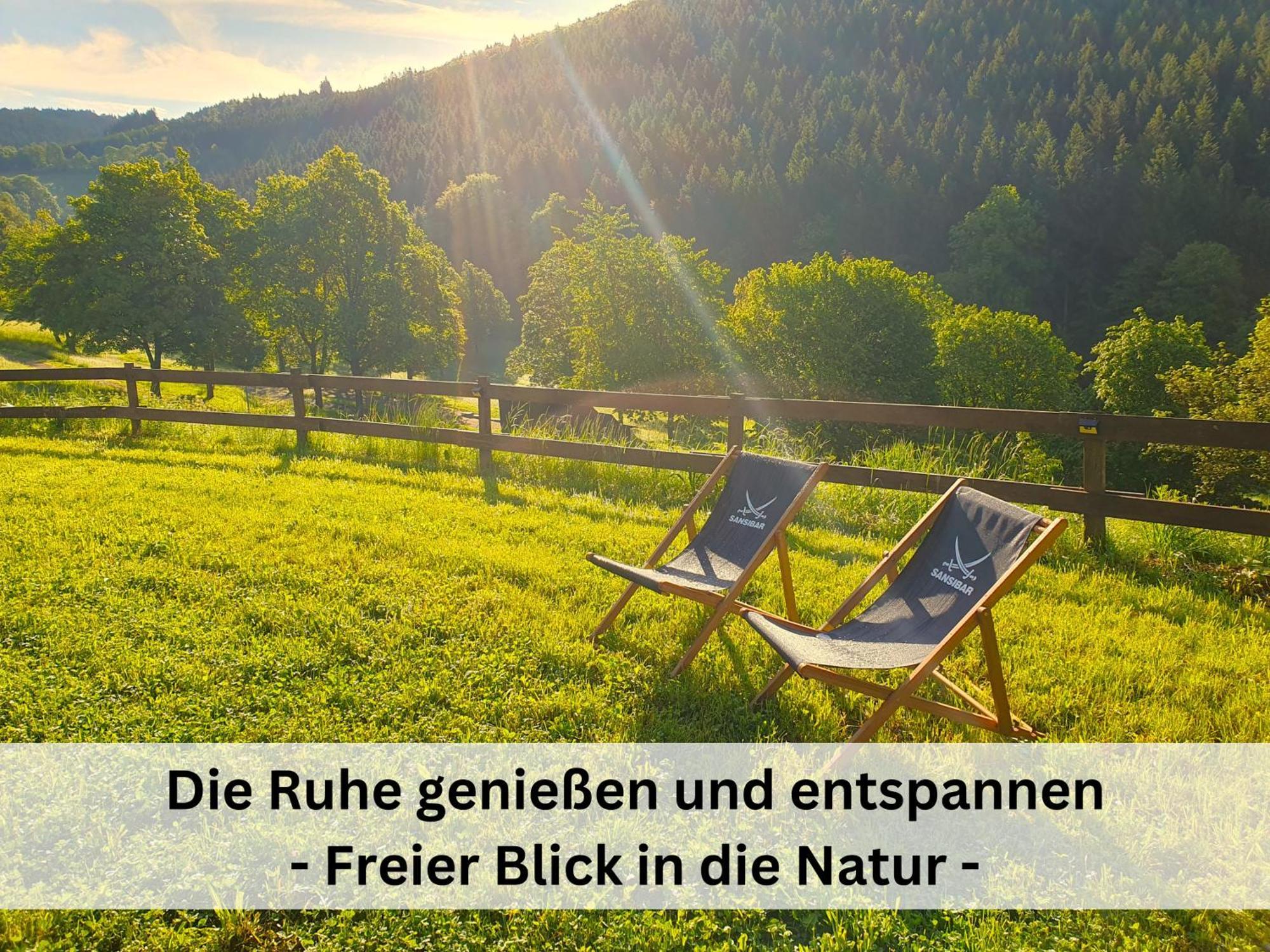 Ferienhaus Grimme - 350M2, 18 Betten - Mit Indoorspielplatz, Pool, Grosser Terrasse, Grill, Sauna, Kicker, Dart, Uvm - Ideal Fuer Familien Schmallenberg Zewnętrze zdjęcie