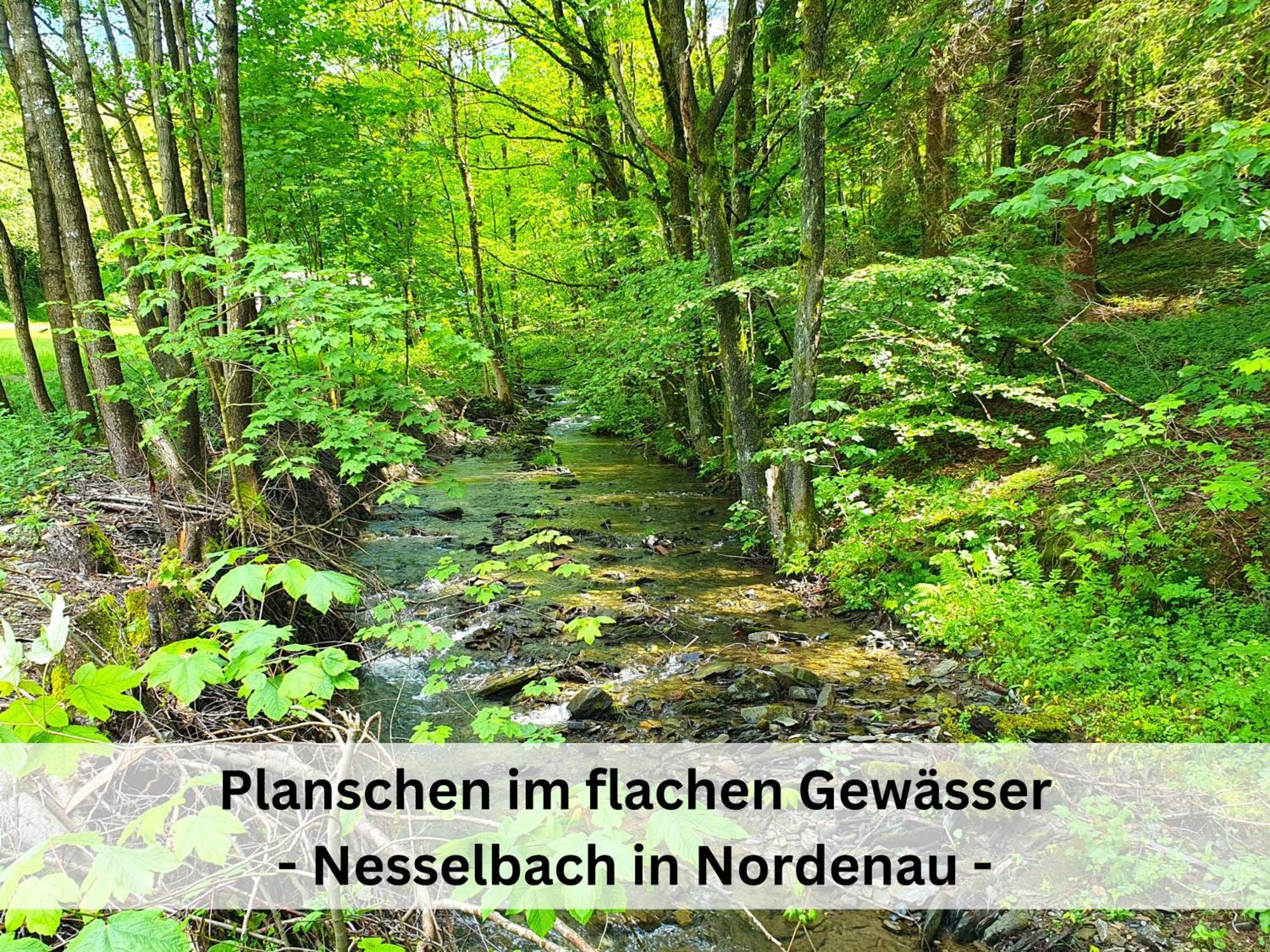 Ferienhaus Grimme - 350M2, 18 Betten - Mit Indoorspielplatz, Pool, Grosser Terrasse, Grill, Sauna, Kicker, Dart, Uvm - Ideal Fuer Familien Schmallenberg Zewnętrze zdjęcie